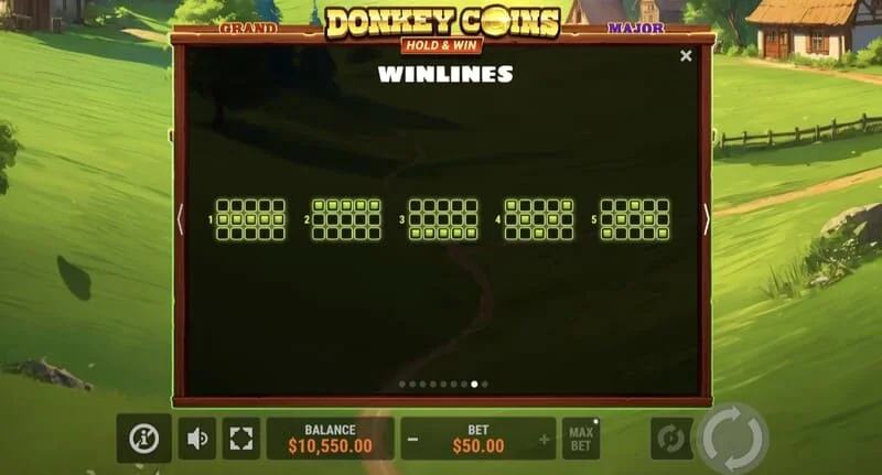 Donkey Coins Hold & Win - özel modda büyük bir kazanç